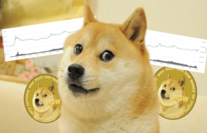 Why Is Dogecoin So Highly Invested In?